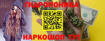 твердый Новодвинск
