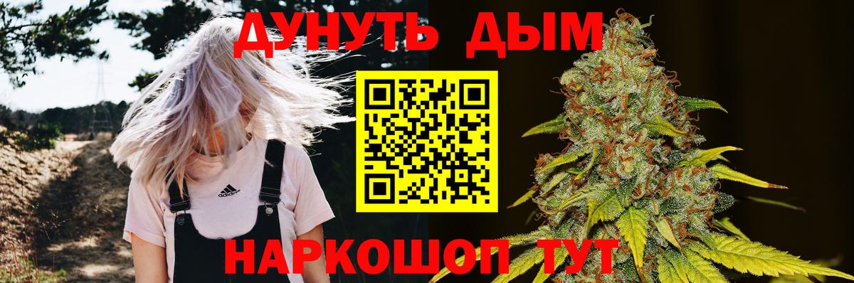 Канабис сатива  Конопля SATIVA & INDICA  Вход с VPN  Шатура 